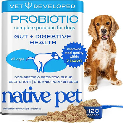 Native Pet Probiotics for Dogs – Dog Probiotic Powder for Gut & Digestive Health, Vet-Formulated 6B CFUs Dog-Specific Probiotic Strains, Supports Stool Quality & Diet Transitions – 120 Scoops