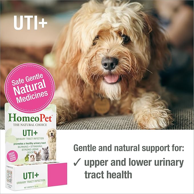 HomeoPet UTI+ Urinary Tract Relief, Safe and Natural Dog and Cat UTI Supplement, 15 Milliliters