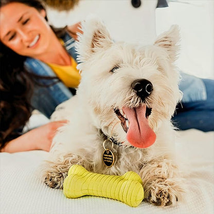 Playology Dog Toys | Dual Layer Bone Durable Chew Toy Bone for Dogs | Medium Chicken Scented Toy - Easy to Clean and Made from Non Toxic Materials