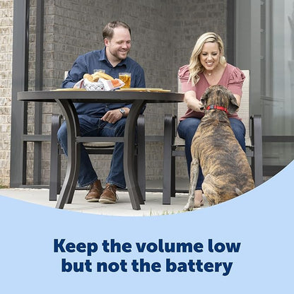 PetSafe Basic Bark Control Collar - Effective & Accurate Bark Detection Collar - Safe & Reliable Training with Multiple Static Stimulation Levels - Waterproof & Battery-Operated