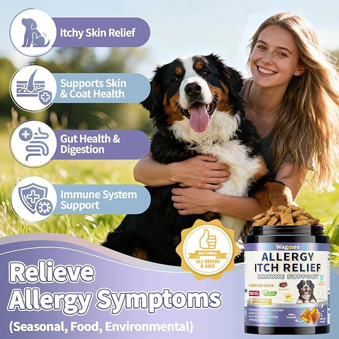 Dog Allergy Relief Chews - Dog Itching Skin Relief 500 Ct, Anti Itch Licking Paw & Yeast Relief, Itchy Skin and Ears for Seasonal Allergies, Probiotics Gut Digestive & Immune Support
