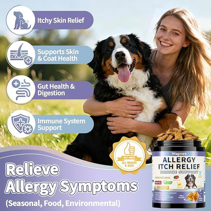 Dog Allergy Relief Chews - Dog Itching Skin Relief 500 Ct, Anti Itch Licking Paw & Yeast Relief, Itchy Skin and Ears for Seasonal Allergies, Probiotics Gut Digestive & Immune Support