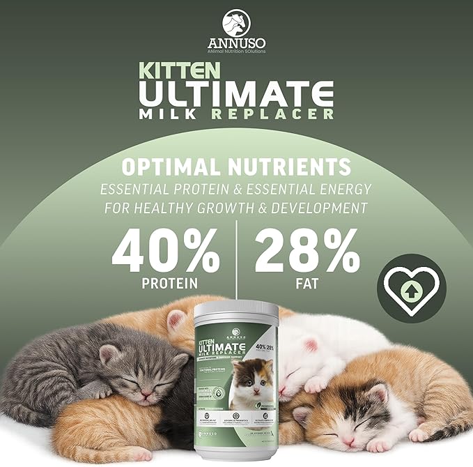 ANNUSO Kitten Ultimate Milk Replacer, 12oz - 40% Protein & 28% Fat - Enhanced with Goat Milk Proteins, Advanced Probiotics – Supports Kitty Immunity & Digestion, Easy-Mix Powder