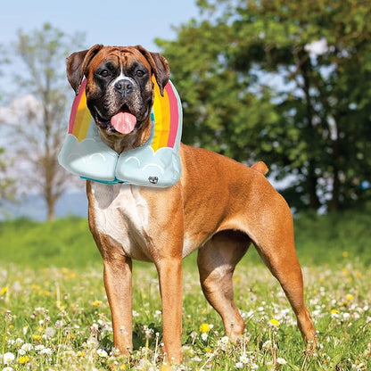 Rainbow Inflatable Dog Recovery Collar, Comfortable Cone Replacement for Pet Surgery, Protective Collars to Prevent Licking & Biting, Size Large
