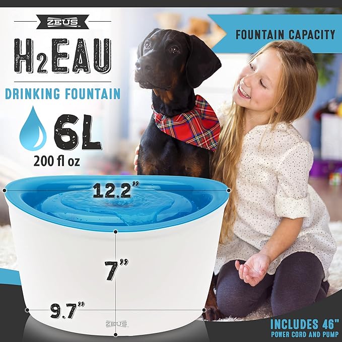 ZEUS H2EAU Elevated Dog and Cat Drinking Water Fountain with Purifying Filter, 6L Capacity (Pack of 2)