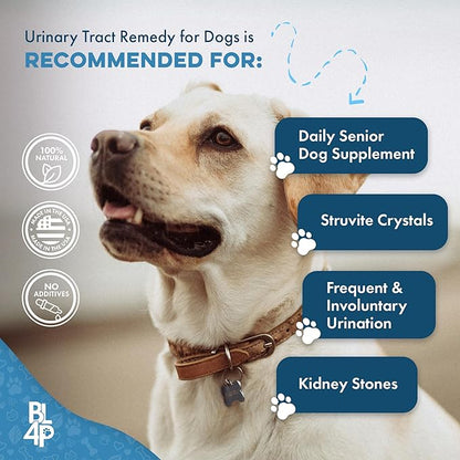 Dog UTI Treatment, Bladder & Kidney Support, Natural Incontinence and Bladder Control for Dogs Reduces Urinary Tract Infections and Dog Allergy Relief & Immune Support, Natural Holistic Itch Relief