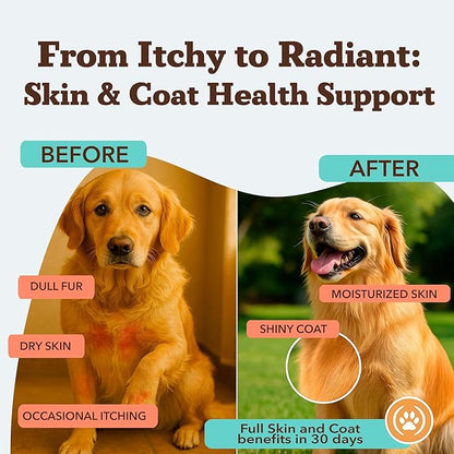 Natural Dog Company Skin & Coat Supplement Chew for Dogs – Omega 3 Salmon Oil, Biotin & Vitamin E Support Shiny Coat, Healthy Skin & Normal Shedding, Promotes Comfort from Occasional Itch, 180 Count