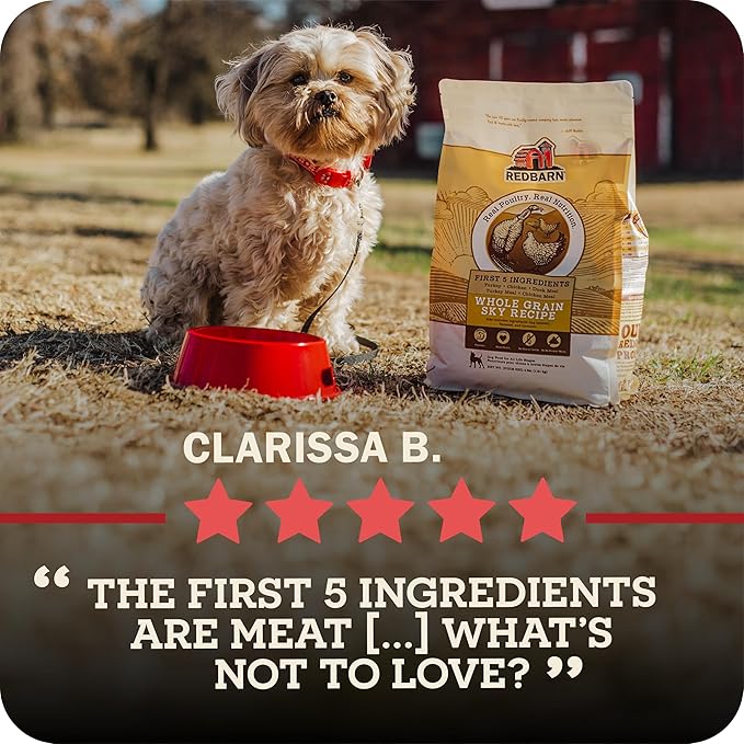 Redbarn Grain-Free Large Breed Dog Food Kibble - Beef & Lamb Recipe - Made in USA No Chicken Recipe with Functional Ingredients to Support Healthy Heart, Joints, Digestion, Skin & Coat - 15lb