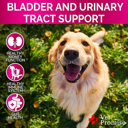 Dog UTI Chews - Advanced Cranberry Supplement for Dogs - Bladder Control - Urinary Tract Support - Cranberry Supplement Vitamins Multivitamin Chews - Made in USA