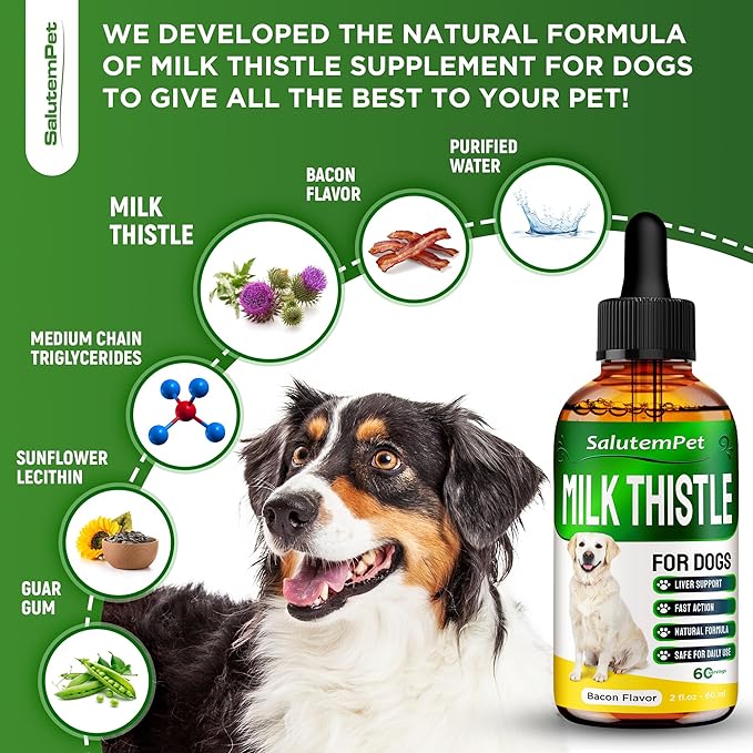 Milk Thistle for Dogs | Dog Liver Supplement for All Ages and Breeds | Here is Only Herbal Composition | + Attractive and Super Yummy Bacon Flavor | 2 Oz