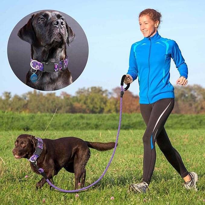 Ladoogo Reflective Dog Collar Padded with Soft Neoprene Breathable Adjustable Nylon Dog Collars for Small Medium Large Dogs (Small (Pack of 1), Purple/Pink Floral Collar+Leash)