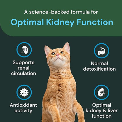 VetriScience Renal Essentials Pro Liquid - Kidney Functions & Maintenance Support Supplement for Cats - Health Supplement Aids Renal Blood Flow - Liquid Kidney Care Aid for Felines - 4 oz