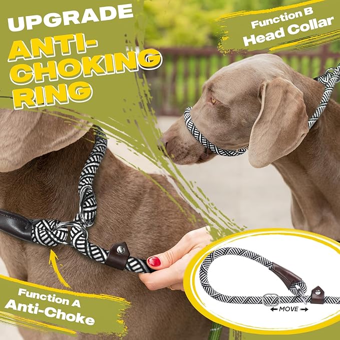 Fida Durable Slip Lead Dog Leash Bulk Pack of 5, Heavy Duty 1/2" x 6 FT Comfortable Strong Rope Slip Lead for Large, Medium & Small Dogs No Pulling Pet Training Leash with Highly Reflective (Grey)