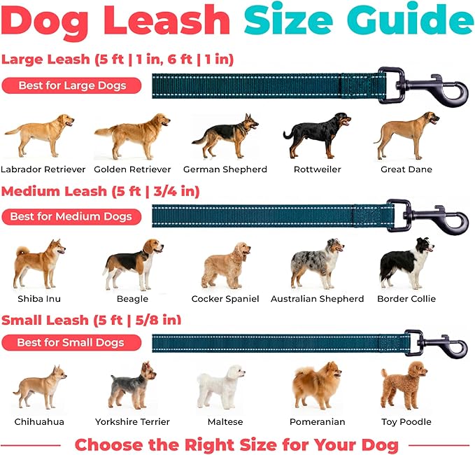 Best Pet Supplies Voyager Reflective Dog Leash or Collar with Neoprene Handle, for Small, Medium, and Large Breed Puppies, Cute and Heavy Duty for Walking, Running and Training - Blue (Leash), L