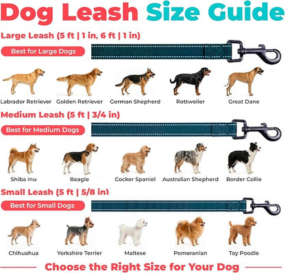 Best Pet Supplies Voyager Reflective Dog Leash or Collar with Neoprene Handle, for Small, Medium, and Large Breed Puppies, Cute and Heavy Duty for Walking, Running and Training - Blue (Leash), S
