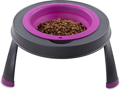 Dexas Pets Single Elevated Pet Feeder/Pet Bowl, 4 Cup Capacity, Fuchsia, Large/4 Cup Capacity
