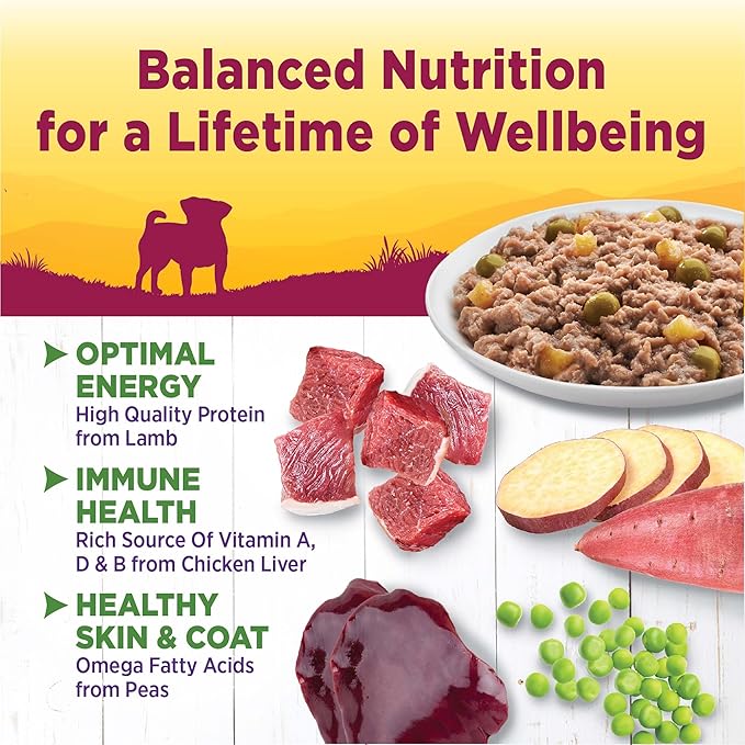 Wellness Petite Entrees Casserole Small Breed Adult Wet Dog Food, Grain Free, Natural, Roasted Lamb, Peas, and White Sweet Potatoes, 3 oz, Pack of 12 Cups