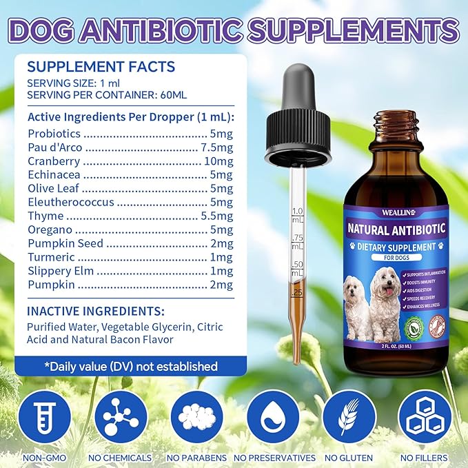 Dog Antibiotics Support - Natural Antibiotics Care for Dogs Herbal Supplement for Cough Allergy Itch Relief Immune Support Dog UTI Comfort for All Breeds & Ages - 60 ml/2 Fl Oz Bacon Flavor
