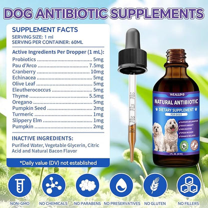 Dog Antibiotics Support - Natural Antibiotics Care for Dogs Herbal Supplement for Cough Allergy Itch Relief Immune Support Dog UTI Comfort for All Breeds & Ages - 60 ml/2 Fl Oz Bacon Flavor