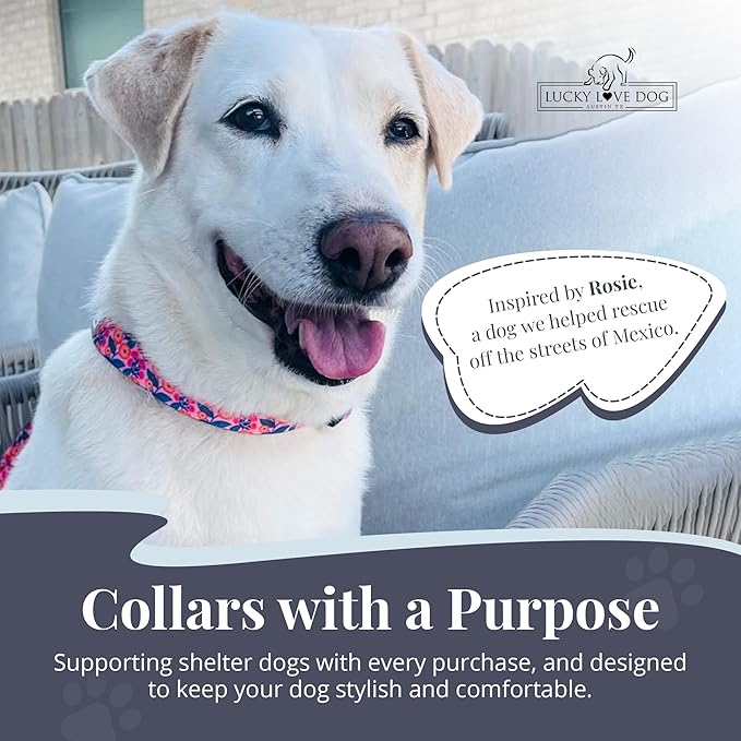 Lucky Love Dog - Easy Click Buckle Dog Collar with Leash Set Combo, Durable & Comfortable for Male & Female Dogs, Pet Collar for Medium Dogs, Secure Fit - Floral Rosie Combo, Medium