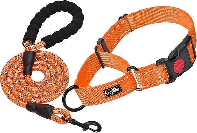 haapaw Martingale Dog Collar with Quick Release Buckle Reflective Dog Training Collars for Small Medium Large Dogs