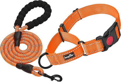 haapaw Martingale Dog Collar with Quick Release Buckle Reflective Dog Training Collars for Small Medium Large Dogs