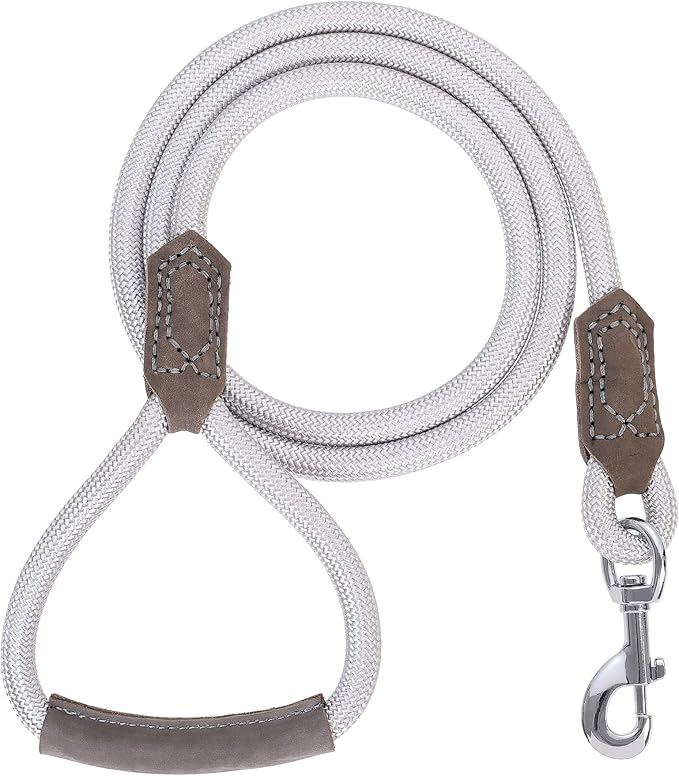 Mile High Life | Premium Leather Dog Leash | Strong Rope Leash | Leather Handle | Zinc Alloy Strong Clasp | Small Medium Large Dogs | 4/5/6 Feet(Sliver, 48 Inch (Pack of 1))