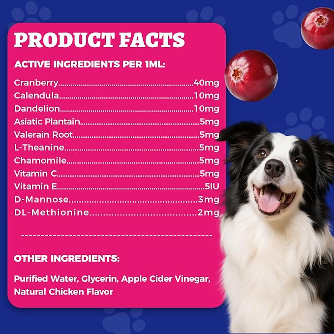4oz Wellix Natural Cat & Dog UTI Treatment Drops,Cat & Dog Urinary Tract Infection Treatment - Cranberry & D-Mannose for Dogs & Cats - Kidney Health Supplement