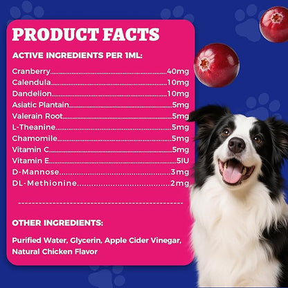 4oz Wellix Natural Cat & Dog UTI Treatment Drops,Cat & Dog Urinary Tract Infection Treatment - Cranberry & D-Mannose for Dogs & Cats - Kidney Health Supplement