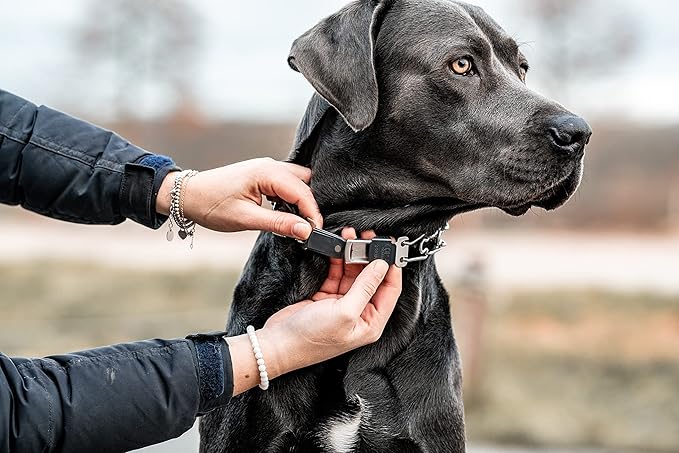 Herm Sprenger Dog Training Prong Collar with Quick Release Cliclock Buckle and Swivel Ring | Adjustable Length Stainless Steel Collar Made in Germany for Large Dogs up to 20" Neck (3.2mm Prongs)
