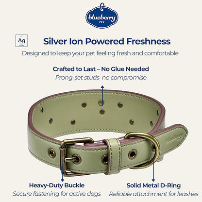 Blueberry Pet Premium Embossed Sage Green Glam Silver-Powered Freshness Microfiber Leather Dog Collar with Antique Brass Studs
