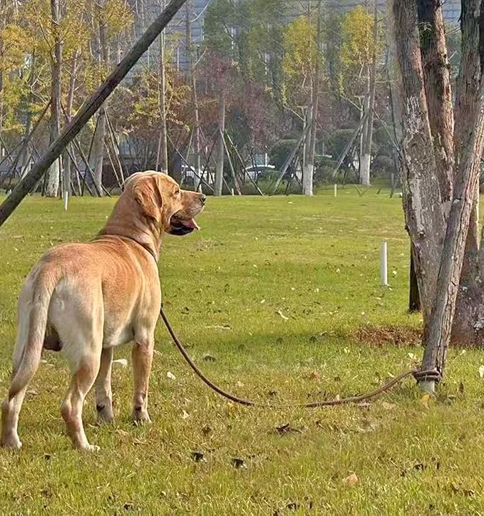 Tie Out Rope Dog Leash, Long Tether 8-10-13-15-20-25-30-35-40-50-65 FT Nylon Check Cord for Medium Large Dogs Indoor/Outdoor Camping Backyard (Black, 3/8" x 10ft)