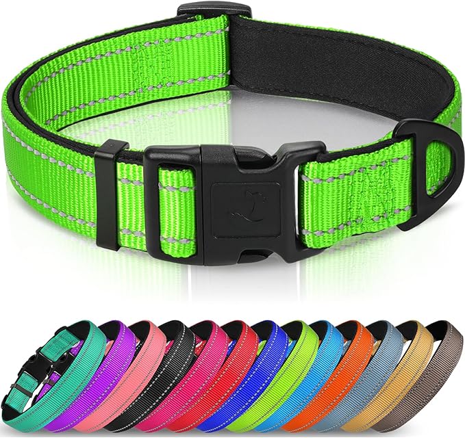 Joytale Reflective Dog Collar, Soft Neoprene Padded, Metal D-Ring, Nylon Pet Collar Adjustable for Small Dogs, Green, S