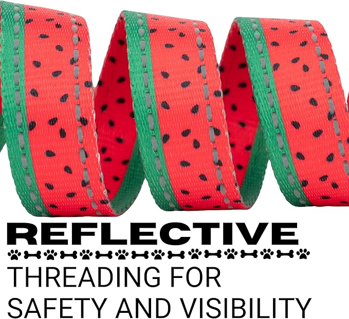 EcoBark Dog Leash - Soft & Reflective Comfort Leash with Padded Handle - Safe, Strong, & Durable for Small, Medium or Large Dogs (Watermelon)