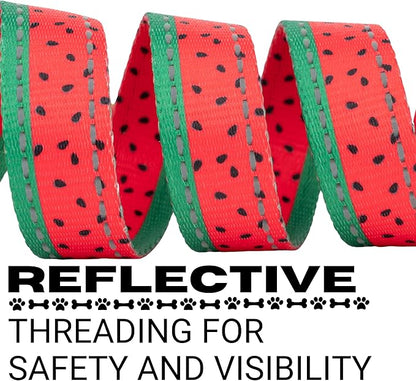 EcoBark Dog Leash - Soft & Reflective Comfort Leash with Padded Handle - Safe, Strong, & Durable for Small, Medium or Large Dogs (Watermelon)