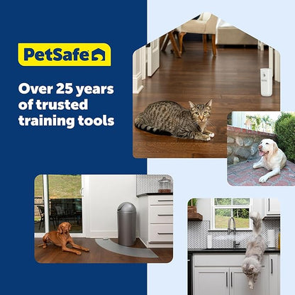 PetSafe Teach & Treat Remote Reward Trainer - Positive Reinforcement Trainer - Reward-Based Dog Training Tool - Lightweight - Battery Operated - Portable Pet Training Device