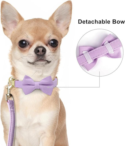 Beirui Adorable Small Dog Harness Collar and Leash Set,Cute XXS Puppy Harness Set with 3 Bows for Tiny Dogs,Chihuahua,Adjustable Step-in Vest for Daily Walking,Parties&Holiday Outfits(Purple,XXS)