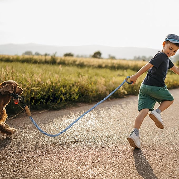 Mile High Life Rope Leash with Genuine Leather Connection, 6 FT/5 FT/4 FT, Heavy Duty Leash for Medium & Large Dogs (Blue White, 60 Inch)