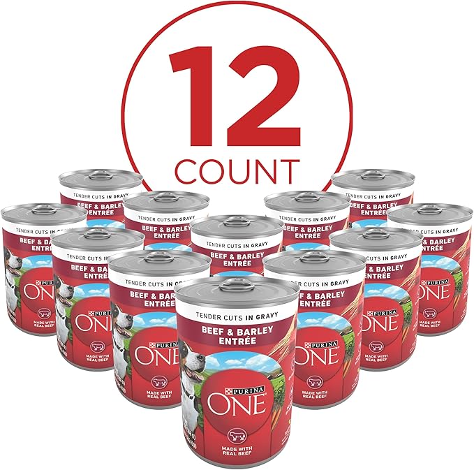 Purina ONE Natural Wet Dog Food Gravy, Tender Cuts in Gravy Beef and Barley Entrée - 13 Ounce (Pack of 24)