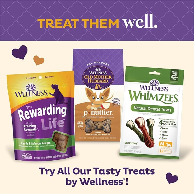 Old Mother Hubbard Wellness P-Nuttier Dog Biscuits,Natural,Training Treats,Peanut Butter Flavor,Mini Size,(6 Pound Box),(Pack of 2)