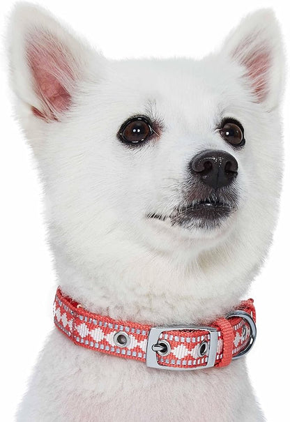 Blueberry Pet Reflective Jacquard Dog Collar with Neoprene Padding & Metal Buckle | Soft & Adjustable Safety Collar - Coral, Neck 17-20.5", for Large Breed