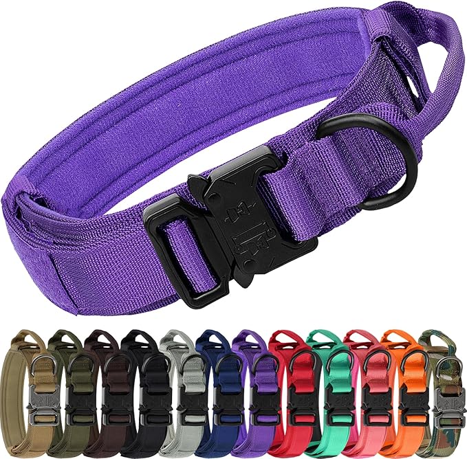Joytale Tactical Dog Collar with Handle and Metal Buckle, Heavy Duty Padded Military Collar with 2 Patches for Training, Adjustable for Medium Dogs, Purple, M