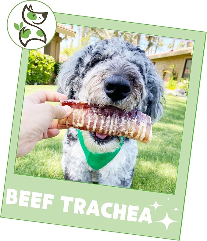 Nature Gnaws Beef Trachea Chews for Dogs 6" (6 Count) - Long Lasting Natural Crunchy Dog Chew Bones - Rawhide Free (Pack of 2)