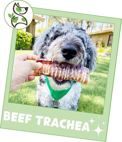 Nature Gnaws Beef Trachea Chews for Dogs 6" (6 Count) - Long Lasting Natural Crunchy Dog Chew Bones - Rawhide Free (Pack of 2)