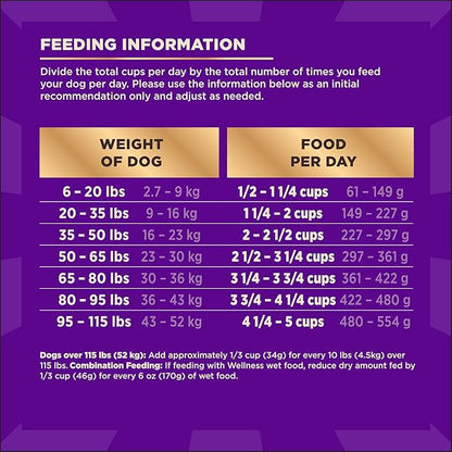 Wellness CORE+ Adult Dry Dog Food with Freeze Dried Pieces, Grain Free Kibble+, Natural, High Protein, Turkey and Chicken Recipe, 20 lb Bag