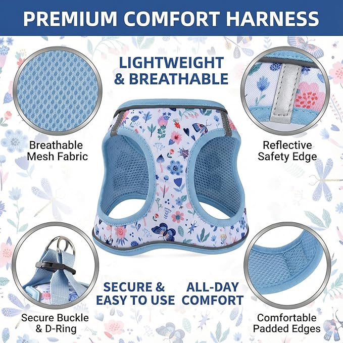 Mihqy Step in Dog Harness and Leash Set, Reflective Adjustable No Pull Dog Harness for Small Medium Dogs Puppy and Cats, Soft Padded Mesh Vest Harnesses for Girl and Boy Pets(Cute Insect,M)
