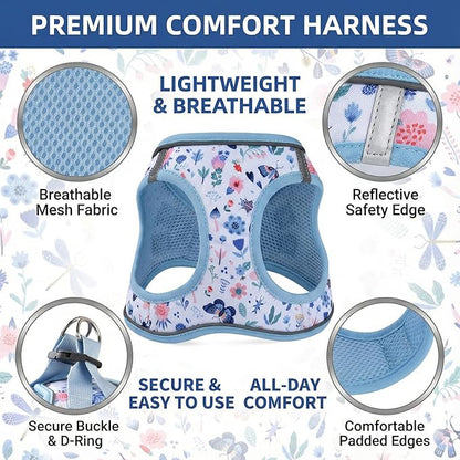 Mihqy Step in Dog Harness and Leash Set, Reflective Adjustable No Pull Dog Harness for Extra-Small/Small Dogs Puppy and Cats, Soft Padded Mesh Vest Harnesses for Girl and Boy Pets(Cute Insect,S)