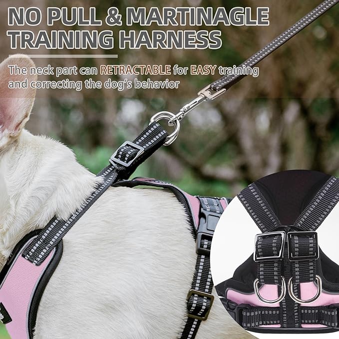 PUPTECK Dog Harness and Leash Set Medium Sized, Adjustable Reflective Escape Proof Puppy Vest, No Pull Walking Harness Easy Control