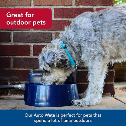 Coastal Pet Bergan Auto-Wata - Outdoor Dog & Cat Water Dispenser - Automatic Water Bowl for Pets - Made from Durable, BPA-Free Plastic - Self-Watering Cat & Dog Bowl - Navy, 48 Ounces