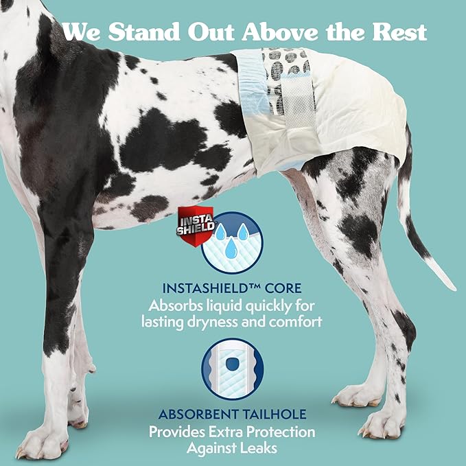 Simple Solution Dog Diapers Female, Dog Diapers, Potty Training, Super Absorbent, Breathable, Wetness Indicator for Urination, 22-37 Inch Waist, (XXL,), 30 Count (Pack of 12)